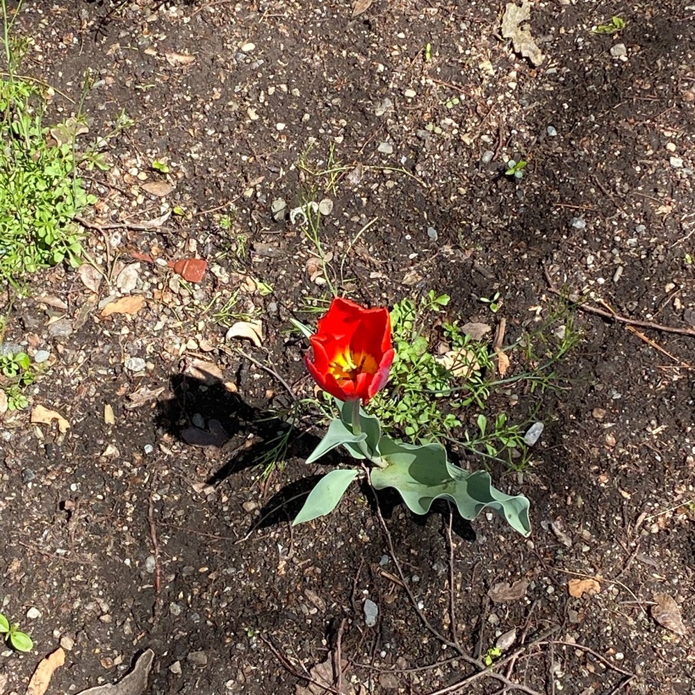 Meet your Posher, Milla